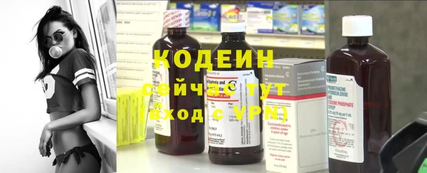 mix Инта