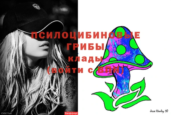 стаф Инсар