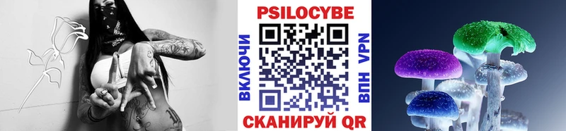 Купить  Верхоянск  Галлюциногенные грибы Psilocybe 